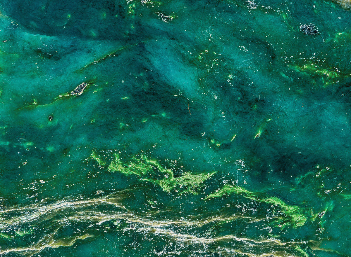 What Are the Different Types of Jade?
